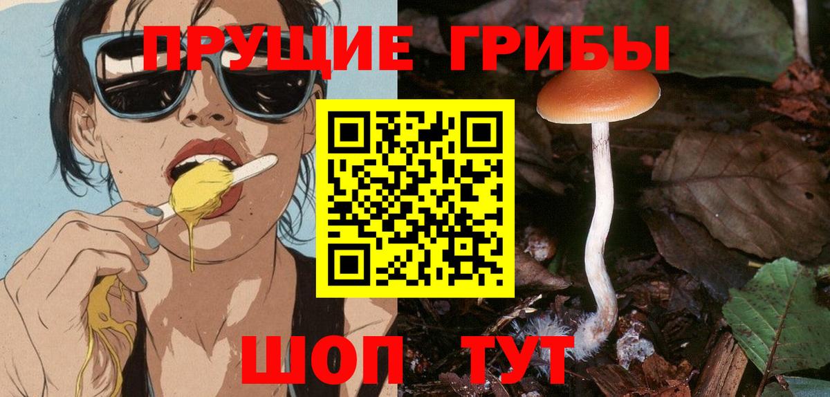 Галлюциногенные грибы Cubensis Красногорск